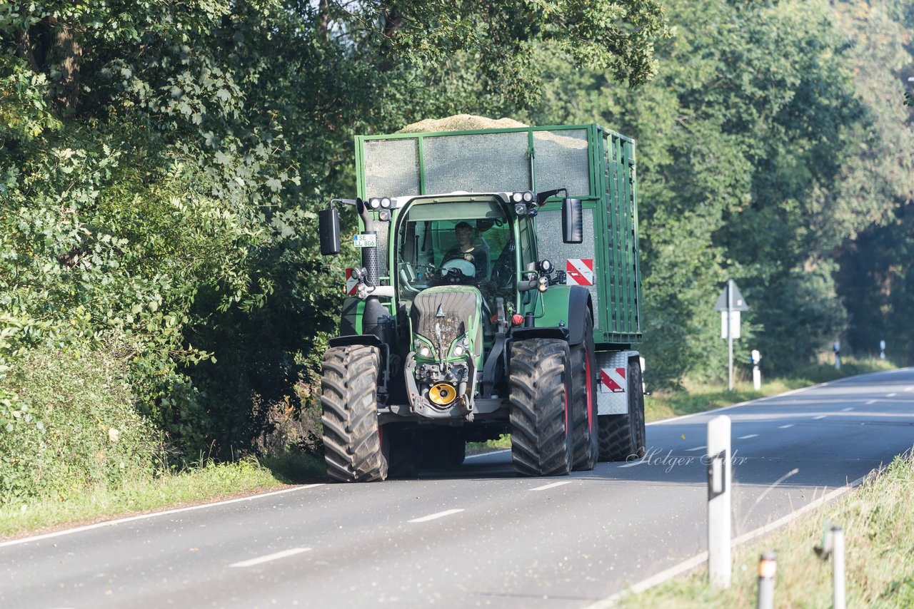 Bild 166 - Maisernte